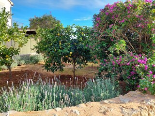 Tenuta Felanitx Registrazione all'aperto 12