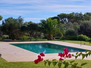 Tenuta Felanitx Registrazione all'aperto 1