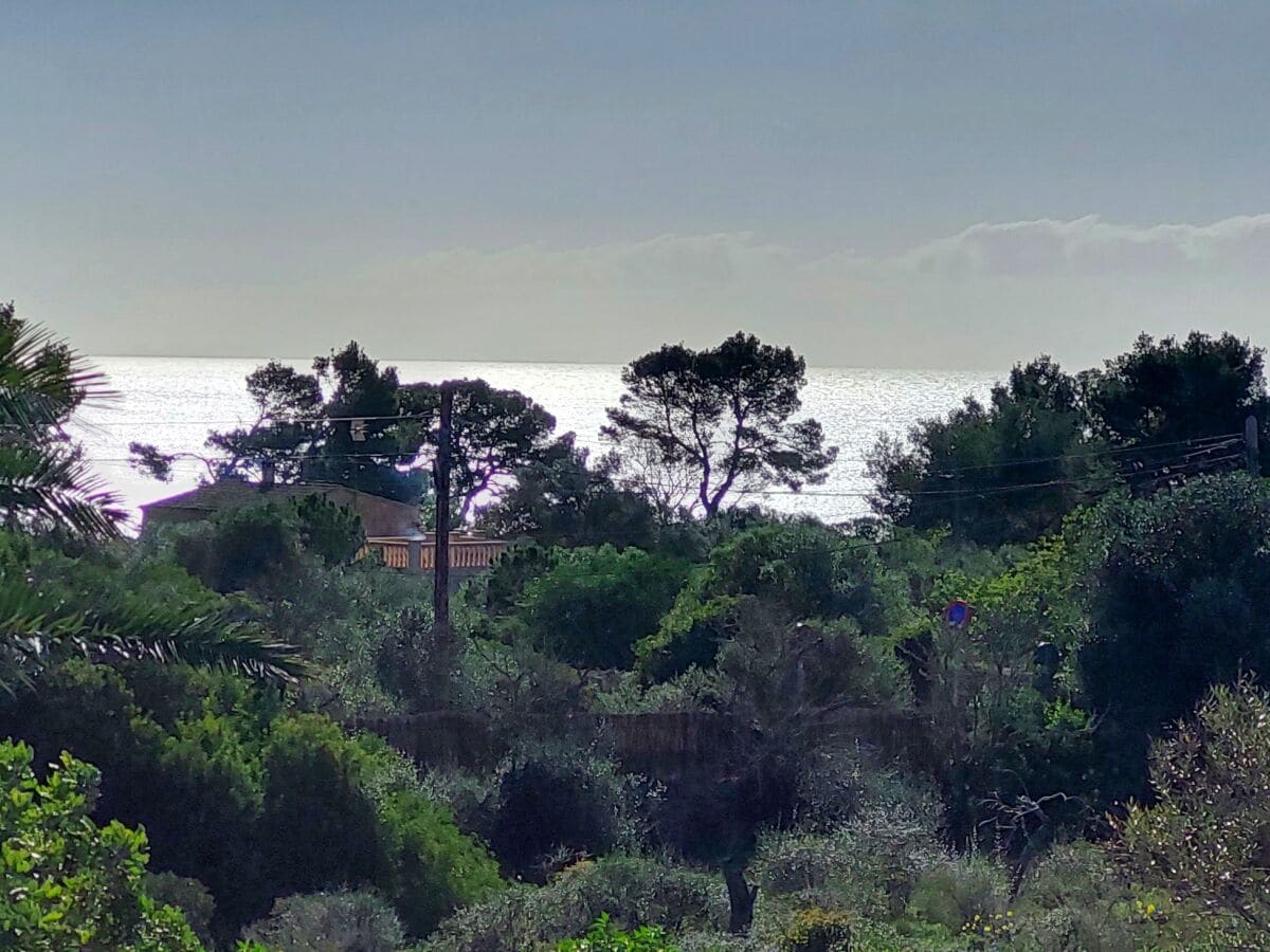 Blick von der Terrasse im OG