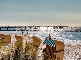 Ferienwohnung Wustrow Umgebung 21