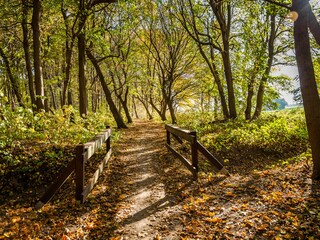 Ferienwohnung Wustrow Umgebung 23