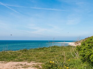 Ferienwohnung Wustrow Umgebung 26