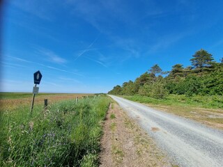 Dünenweg mit dem Rad