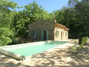 Villa in Flayosc bei Gorges du Verdon - Flayosc - image1