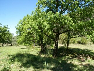 Villa Flayosc Buitenaudio-opname 4