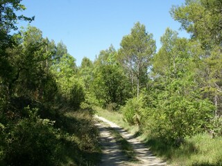Villa Flayosc Buitenaudio-opname 10
