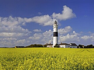 Casa per le vacanze Kampen Ambiente 12