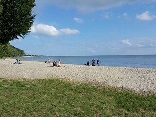 Haffstrand in Kamminke in 3 km Entfernung