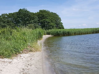 Badestelle in Prätenow in 5 km Entfernung
