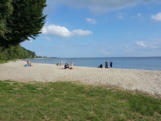Haffstrand in Kamminke in 3 km Entfernung