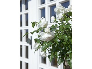 Ein herzliches Willkommen im Haus am Meer WE Anemone