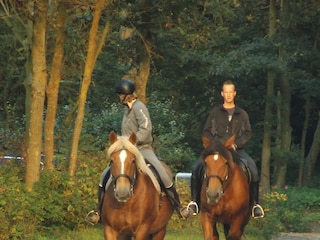 Appartamento per vacanze Zoutelande Ambiente 13