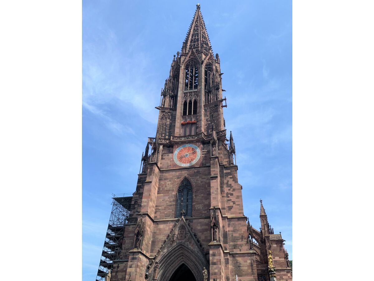 Freiburg Münster