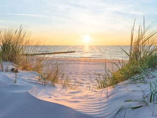 Holiday apartment Binz Environment 20