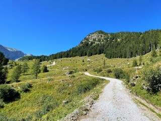 Vakantiehuis Sonnenalpe Nassfeld Buitenaudio-opname 14