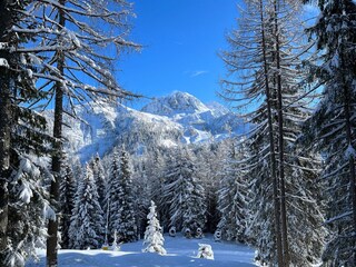 Casa per le vacanze Sonnenalpe Nassfeld Registrazione all'aperto 2