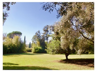 Large grasveld to play or relax