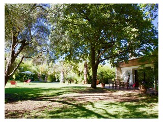 Just an impression of the park / Garden