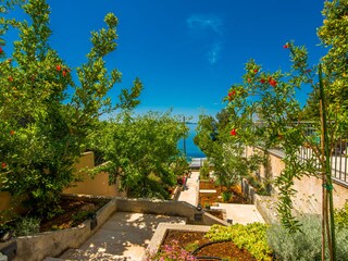 Villa Martinscica Outdoor Recording 17