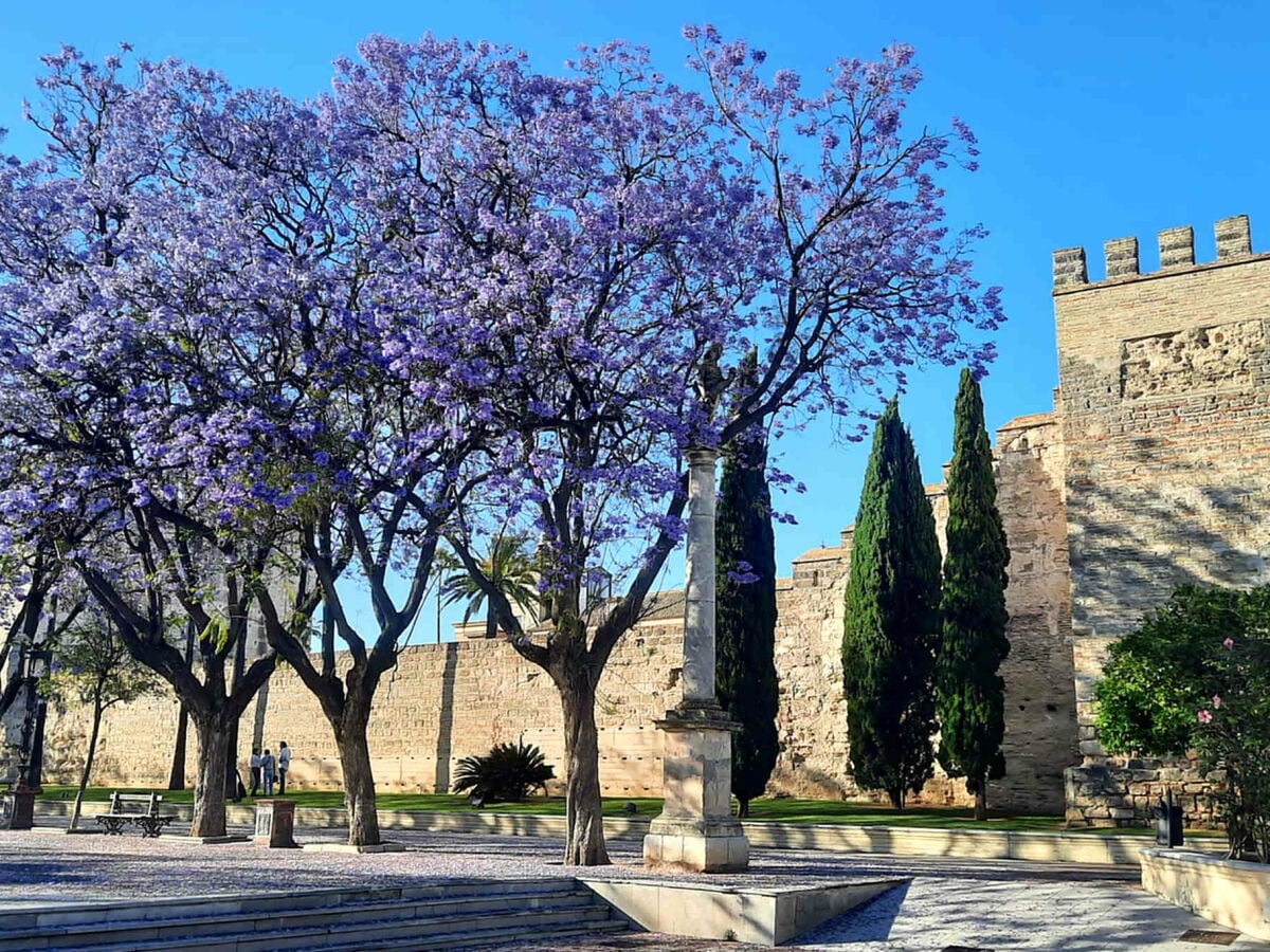 Jerez de la Frontera im Frühling