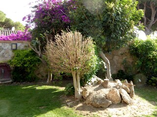 Vakantiehuis Chiclana de la Frontera Buitenaudio-opname 7