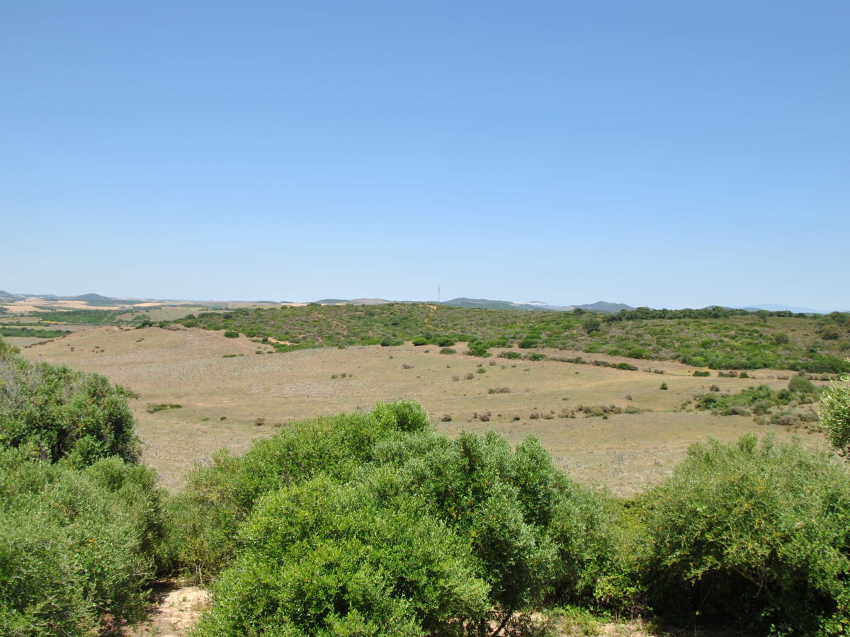 0569 Cortijo los Olivos - Blick auf die Umgebung