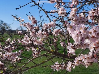 Casa per le vacanze Cala Llombards Ambiente 40