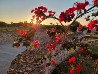 Casa per le vacanze Cala Llombards Ambiente 40