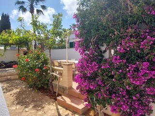Casa per le vacanze Cala Llombards Registrazione all'aperto 18
