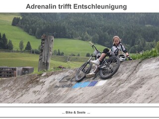 Appartamento per vacanze Leogang Ambiente 35