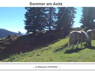 Appartamento per vacanze Leogang Ambiente 27