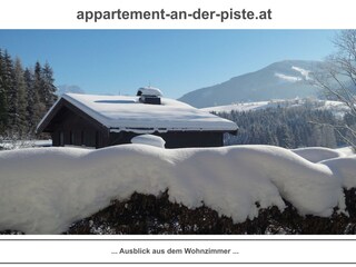 Vakantieappartement Leogang Kenmerken 8
