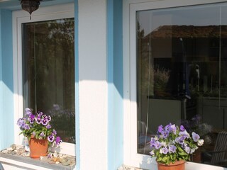 Ferienhaus Hohenkirchen in Mecklenburg Ausstattung 12