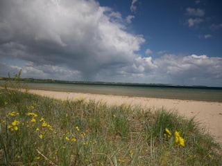 Holiday house Hohenkirchen in Mecklenburg Environment 21