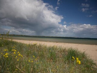 Maison de vacances Hohenkirchen in Mecklenburg Environnement 35
