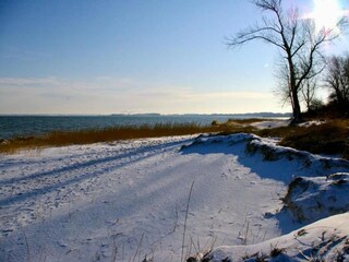 Casa per le vacanze Hohenkirchen in Mecklenburg Ambiente 29