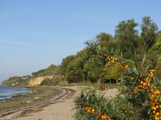 Vakantiehuis Hohenkirchen in Mecklenburg Omgeving 36