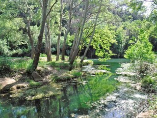 Casa per le vacanze Brignoles Ambiente 22