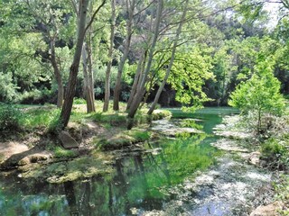 Holiday house Brignoles Environment 20