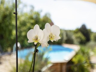 Maison de vacances Brignoles  27