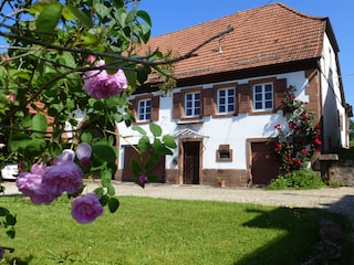 Fassade Rue Principale