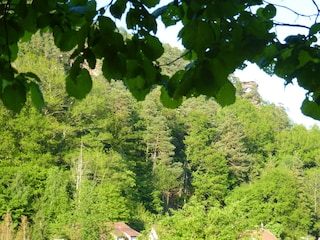 Blick von Liege und Spielwiese