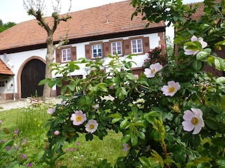 Ferienhaus Obersteinbach Außenaufnahme 3