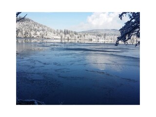 lake Titisee