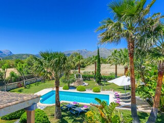 garden with pool