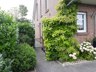 Ferienhaus Hooksiel Außenaufnahme 3