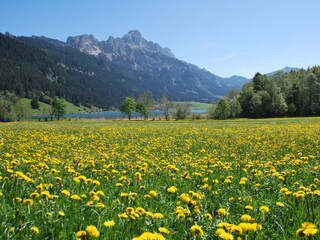 Haldensee