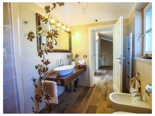 Casa per le vacanze Kastelir Caratteristiche 33