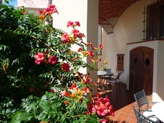 Camera per vacanze Pietra Ligure Registrazione all'aperto 6