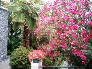 Camera per vacanze Pietra Ligure Registrazione all'aperto 7